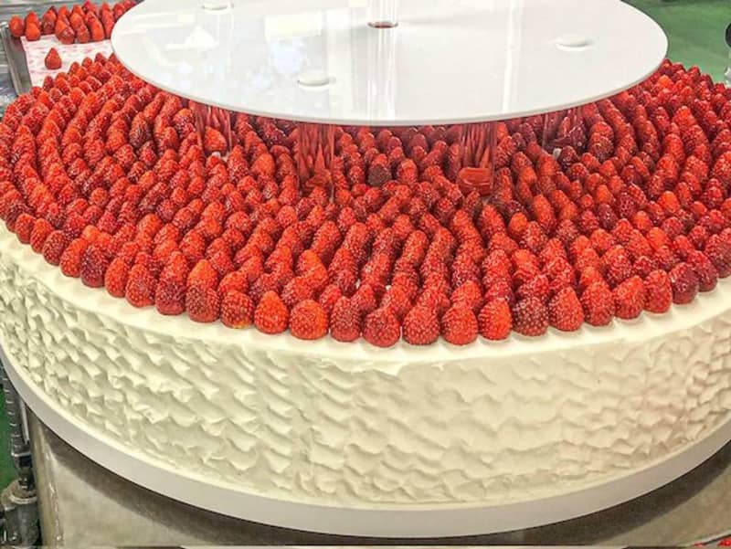 イチゴ5000粒、直径100センチ…　夢のような「1500人前ショートケーキ」が現実に爆誕