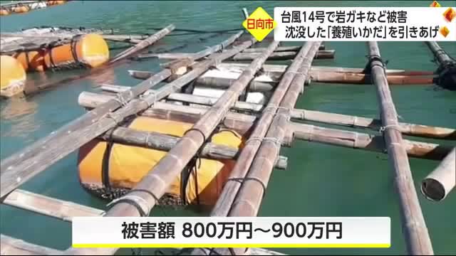 台風14号から2カ月　ボランティアが沈没した養殖用いかだを引きあげ　宮崎