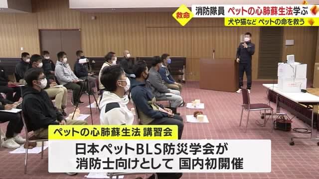 ペット向け心肺蘇生法を消防隊員が学ぶ　鹿児島市で講習会