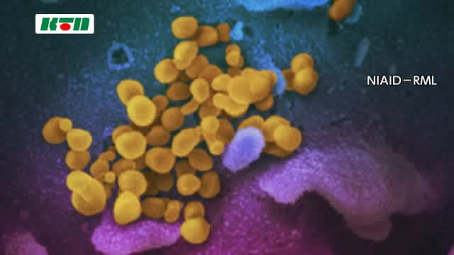 ⚡｜【速報】長崎県内で新たに443人新型コロナウイルス感染 男性(70代)1人が死亡