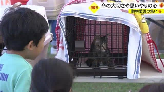 動物愛護の集い　命の尊さ思いやりを育む