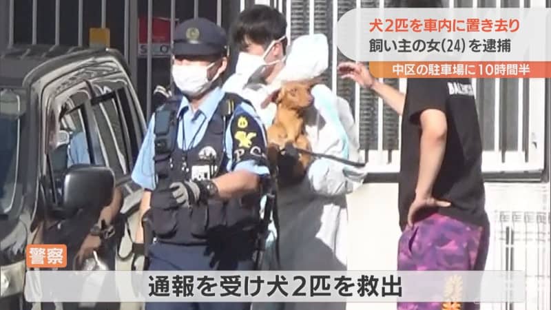 犬２匹を車内に10時間半、置き去り　ブラジル人の女逮捕　名古屋・中区