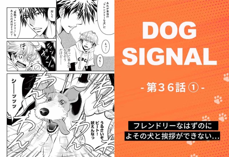 [Latest story] "DOG SIGNAL" Episode 36 1/4 A dog that can't say hello to other dogs
