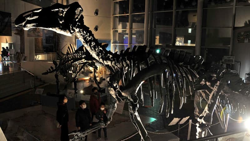暗闇の博物館を探検「恐竜動きそう」大興奮　岐阜県博でナイトミュージアム