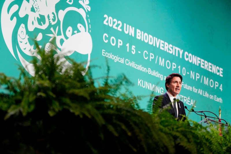 Canada is confident about UN biodiversity conference ahead of opening 32 origin 1