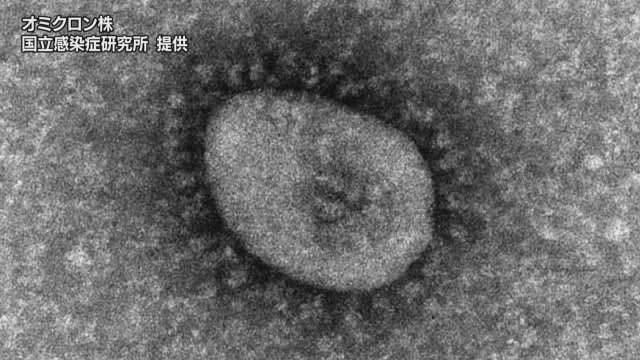 新型コロナウイルス　新たに１５７１人感染（速報値）【愛媛】