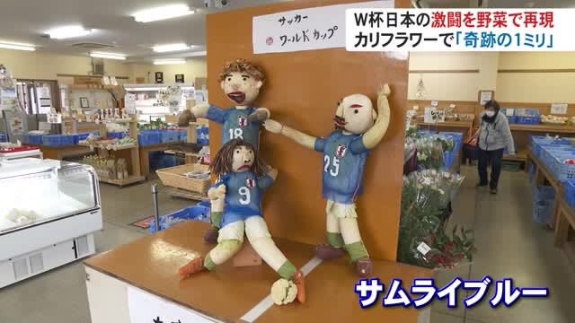 サッカーワールドカップ日本代表の雄姿を“野菜”で再現…富山県南砺市の農産物直売所