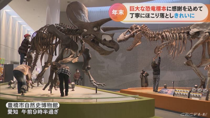 まさに“骨の折れる”作業!?　年末恒例の恐竜の巨大標本大掃除　愛知・豊橋市自然史博物館