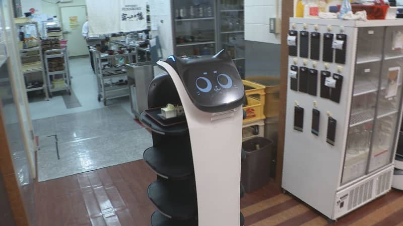 宴会シーズンに“ネコの手”ならぬ「ネコロボ」 飲食業界に新たな戦力