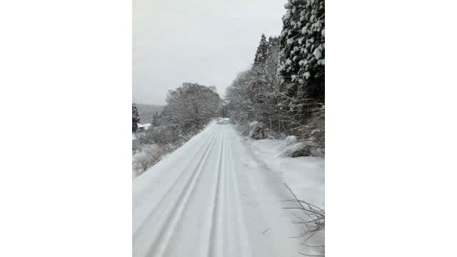 ⚡ ｜ [Breaking news] Fallen trees on the tracks due to heavy snow Rikuu East Line suspends operation in some sections <Miyagi>