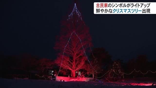 ＳＮＳで仲間を募り『古民家のシンボルの木をライトアップ』して鮮やかなクリスマスツリーに