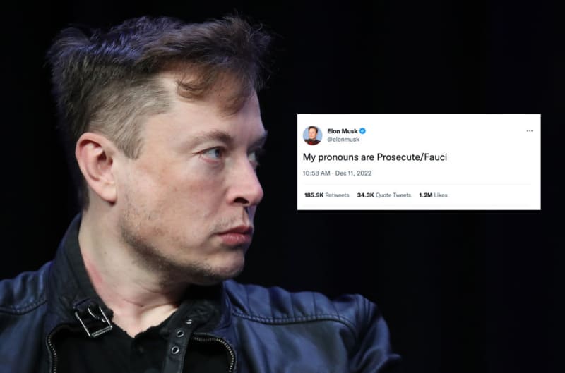Twitter, Elon Musk – and what’s next for the bi…