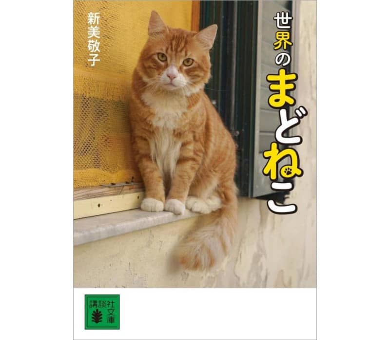 猫×窓の王道シチュエーションがたまらない！ 世界中の“窓猫”を集めたフォトエッセイ『世界のまどねこ』