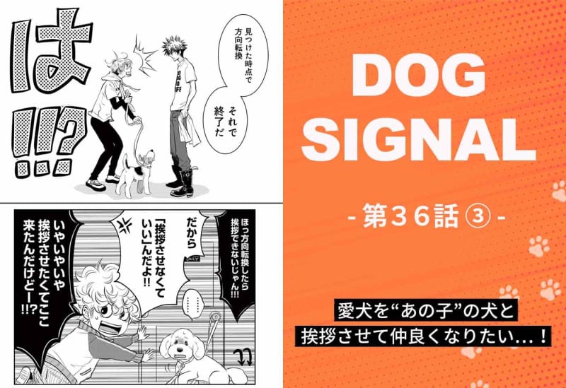 [Latest story] "DOG SIGNAL" Episode 36 3/4 Tips for walking your dog well