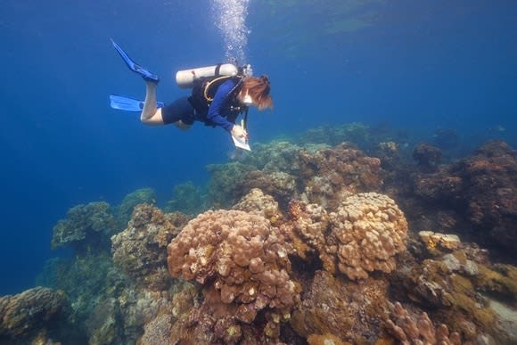 科学と外交　サンゴ礁研究が強化する国際連携