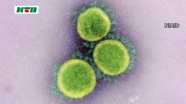 ⚡｜【速報】患者4人死亡…長崎県で新たに1071人が新型コロナ感染