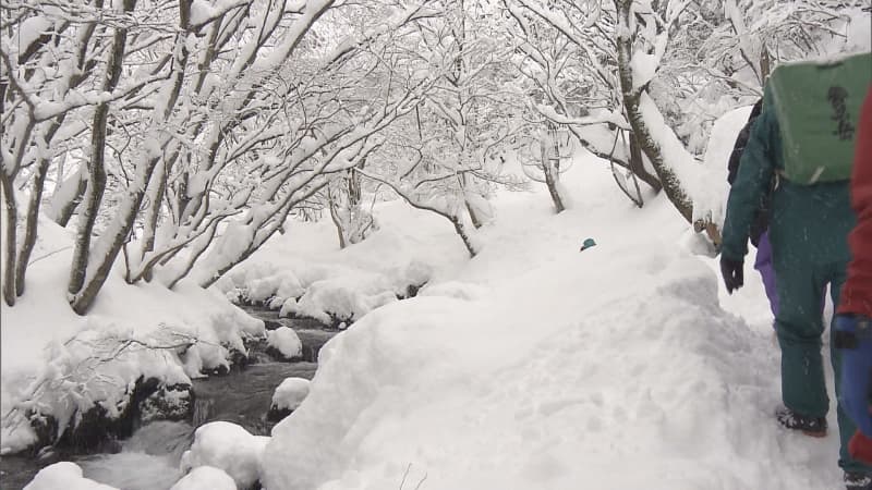 【速報】新潟県五泉市の菅名岳で雪崩　50代男性が心肺停止状態　14日の寒九水汲みの登山道整備中