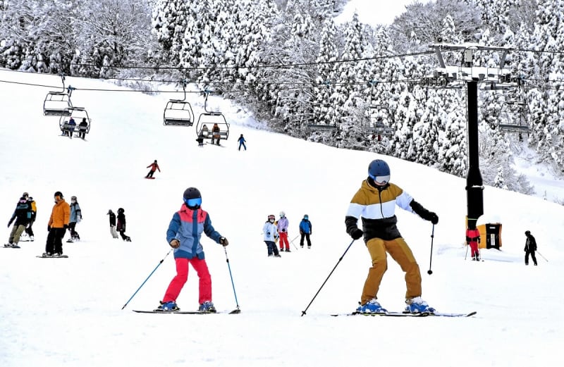 福井県内スキー場、平日リフト券が半額　スキージャム勝山など計5カ所、スケート場入場券も
