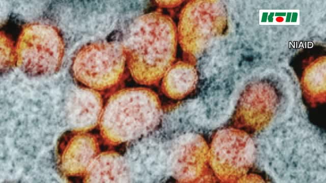 ⚡｜【速報】長崎県で新たに1500人新型コロナウイルス感染 3人死亡