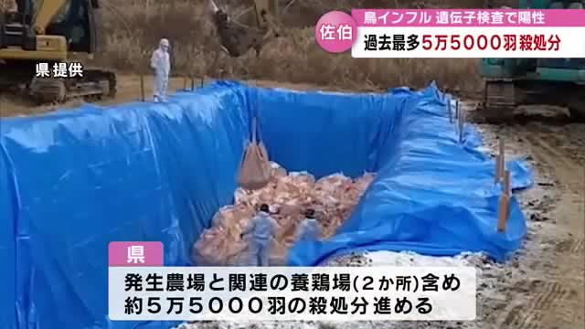 鳥インフルエンザ　過去最多５万５千羽の殺処分開始　広瀬知事「冷静な対応を」　大分
