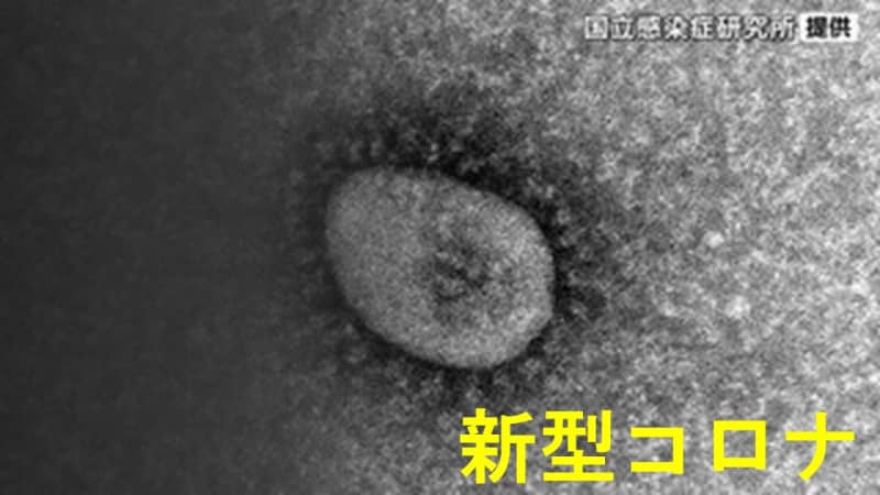 ⚡｜【速報】新型コロナ1555人感染確認　4人死亡　宮城