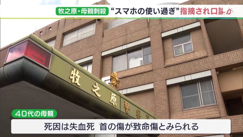 13-year-old mother stabbed to death in Makinohara, Shizuoka Prefecture