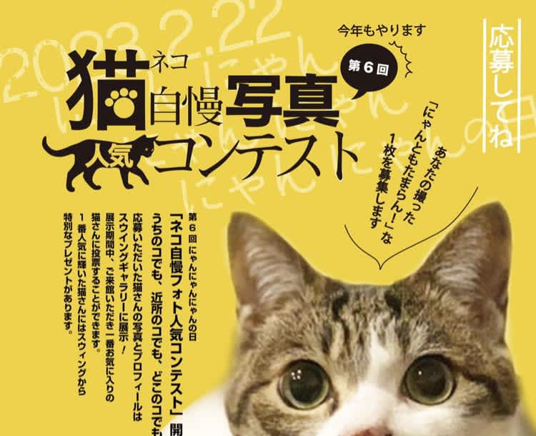 仙台泉中央駅ビルSWING・スウィングで『第6回猫自慢フォトコンテスト』が2023年2月15日…