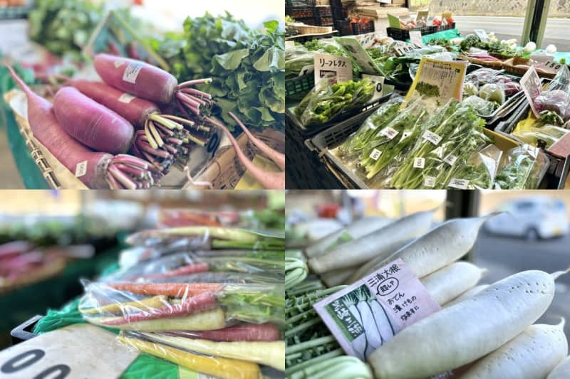 You can buy rare vegetables at a reasonable price on the Miura Peninsula!"Vegetable Farmer's Market" Popular with Chefs