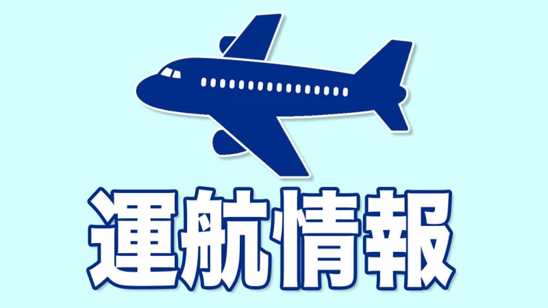 降雪による悪天候の影響 25日の新潟空港発着便の欠航を発表　ＡＮＡ