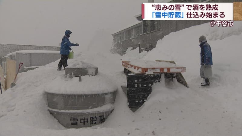 雪は”恵み” 雪の中でまろやかな日本酒に 小千谷市の酒蔵で恒例の雪中貯蔵始まる【新潟】