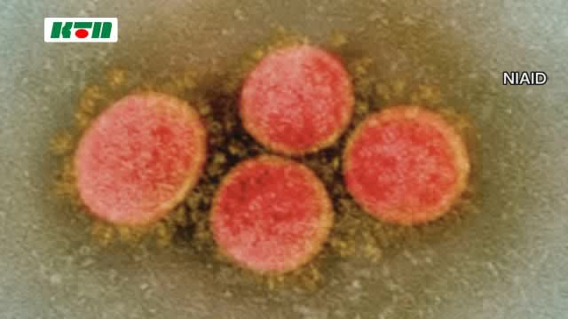 ⚡｜【速報】長崎県内で600人新型コロナウイルス感染 患者4人死亡