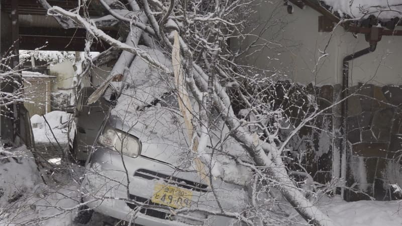 大雪で倒木「振り向いたら白煙が…」旅館の屋根と車両を損壊するもけが人なし