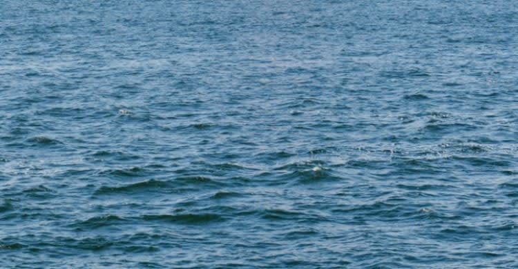 釣りするため出艇も　神奈川・真鶴沖でミニボート転覆、乗船していた男性死亡