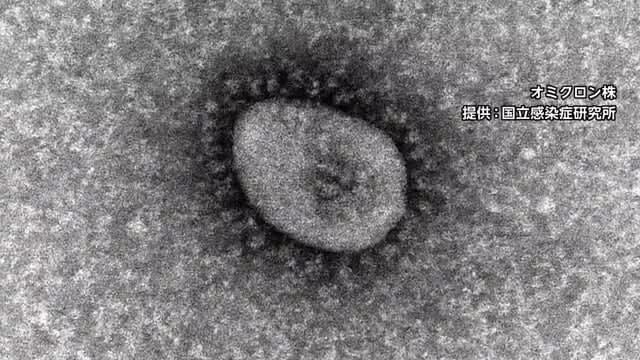 ⚡｜【速報】新型コロナ　死者3人　425人が新規感染（福井県・2月1日）