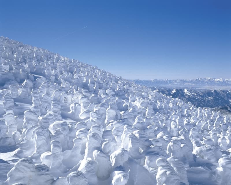 蔵王温泉スキー場の樹氷観光～おすすめルートをご紹介します～