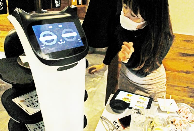 「お料理を持ってきましたニャ」飲食店で広まる配膳ロボット　福井県内、人手不足解消し宣伝効果も
