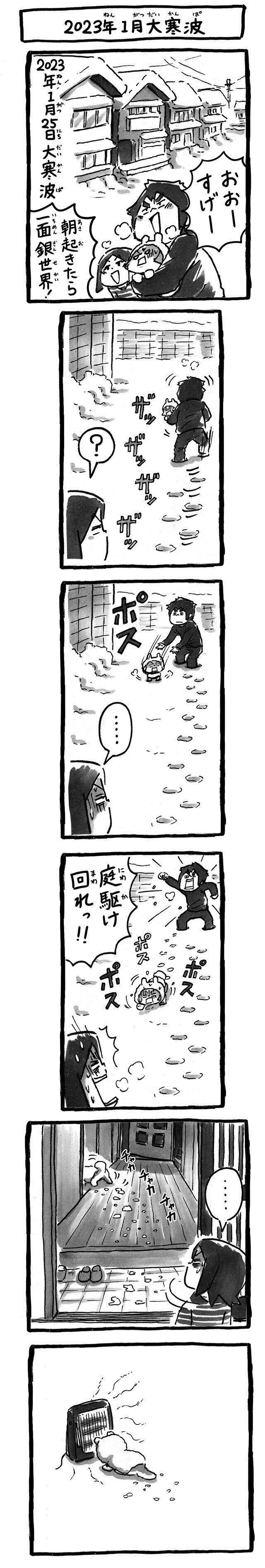 それは人間側の思い込み|連載「シーズー犬のてんぽ」第179回