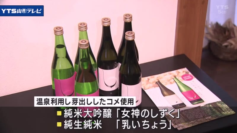 「温泉水で発芽した日本酒」完成 鶴岡・湯田川温泉