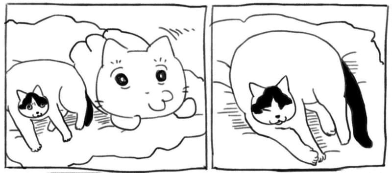 可愛がりたいだけなのに…　愛猫からの「塩対応」描いた漫画が切なすぎて笑っちゃう