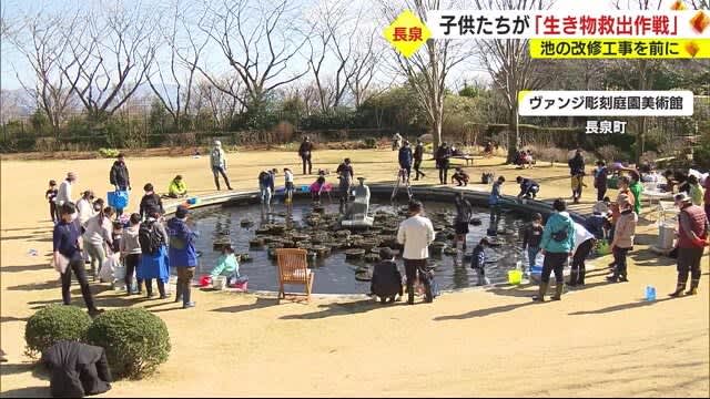 美術館の池の改修工事前に子供たちが「生き物救出作戦」静岡・長泉町