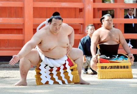 横綱稀勢の里 大活躍! 相撲ブーム到来か?