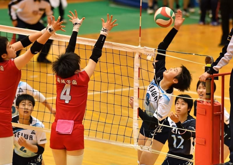 全九州選抜高校バレー 女子 聖和19年ぶり準V 長崎新聞 2019/02/12 [1019] 公開