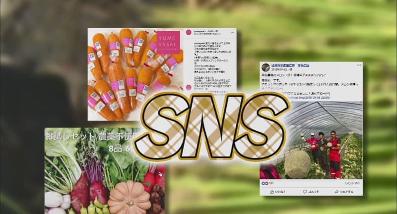 「スマホは農具」ってどういうこと？ 売り上げ倍増“SNS農家”の戦略