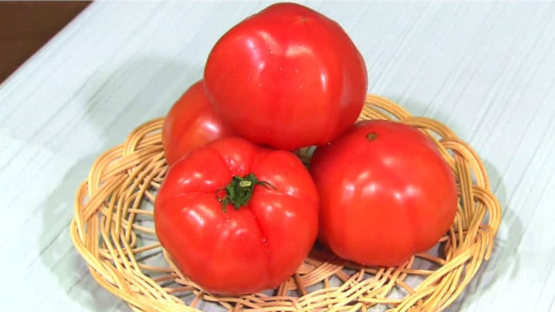 トマトは常温、葉物は？野菜の栄養効果を高める意外な「保存方法」