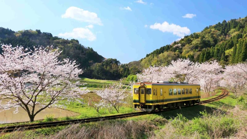 いすみ鉄道の魅力を発信、支店長募集！