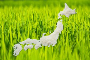 中央大学、父母連絡会主催　“全国のご当地グルメ”が学食に登場