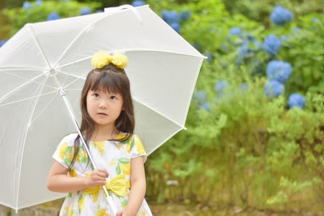奄美地方が全国で最も早く「梅雨入り」　気象庁は「その日」をどうやって決める？