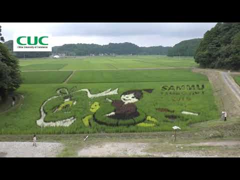 千葉商科大学「さんむ田んぼアート2019 はじめる田植え」で田植え体験、地元産食材BBQ、田植え結婚式を実施