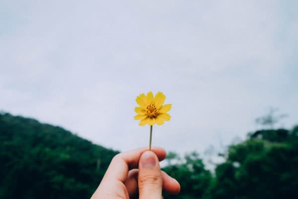 「物欲がない」ことが危険な理由