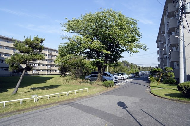 上り下り不要な１階に住み替えできます　エレベーターのない団地が挑む高齢居住者支援